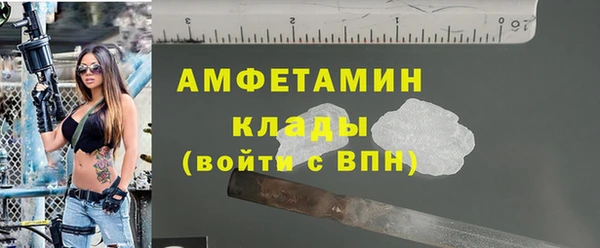 прущие грибы Белокуриха