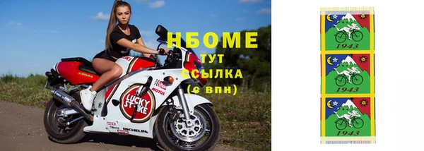 прущие грибы Белокуриха