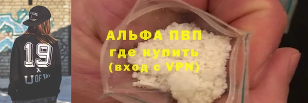 прущие грибы Белокуриха