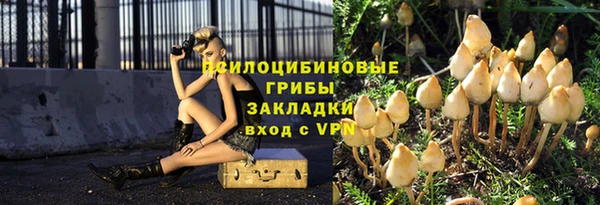 прущие грибы Белокуриха
