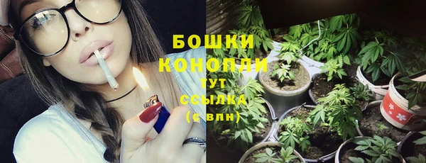 прущие грибы Белокуриха
