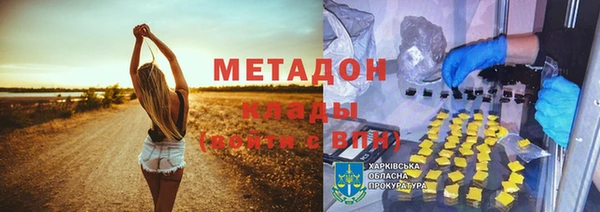 прущие грибы Белокуриха