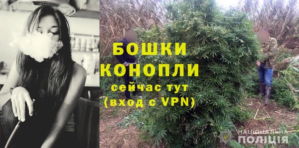 прущие грибы Белокуриха