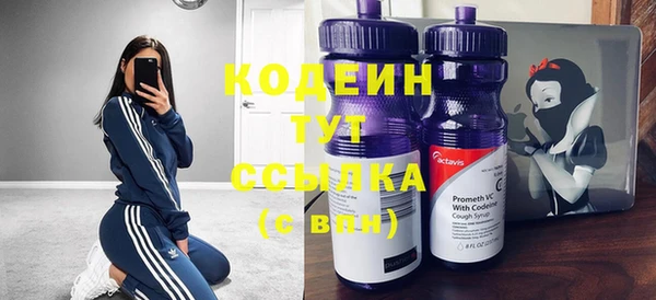 прущие грибы Белокуриха