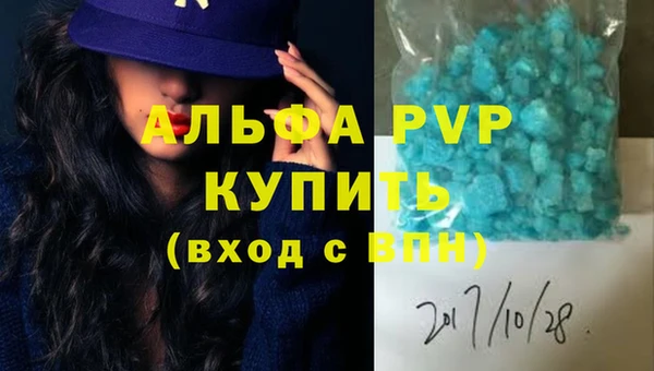 прущие грибы Белокуриха