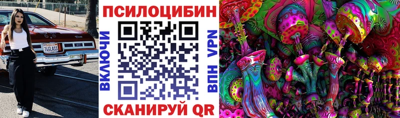 Галлюциногенные грибы Magic Shrooms Вытегра